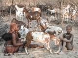 Himbas at work early morning