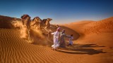 Dune Kid Running Camel